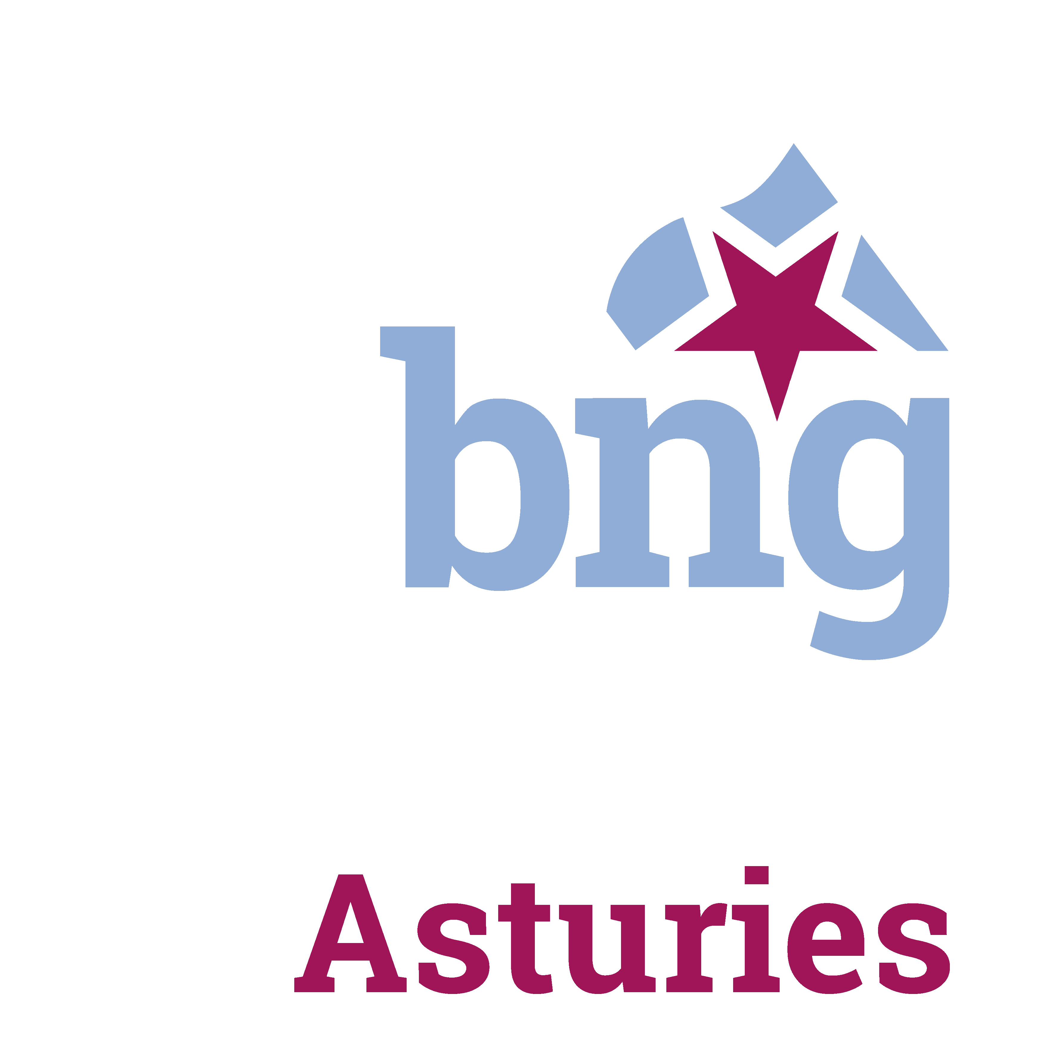 bng (865)
