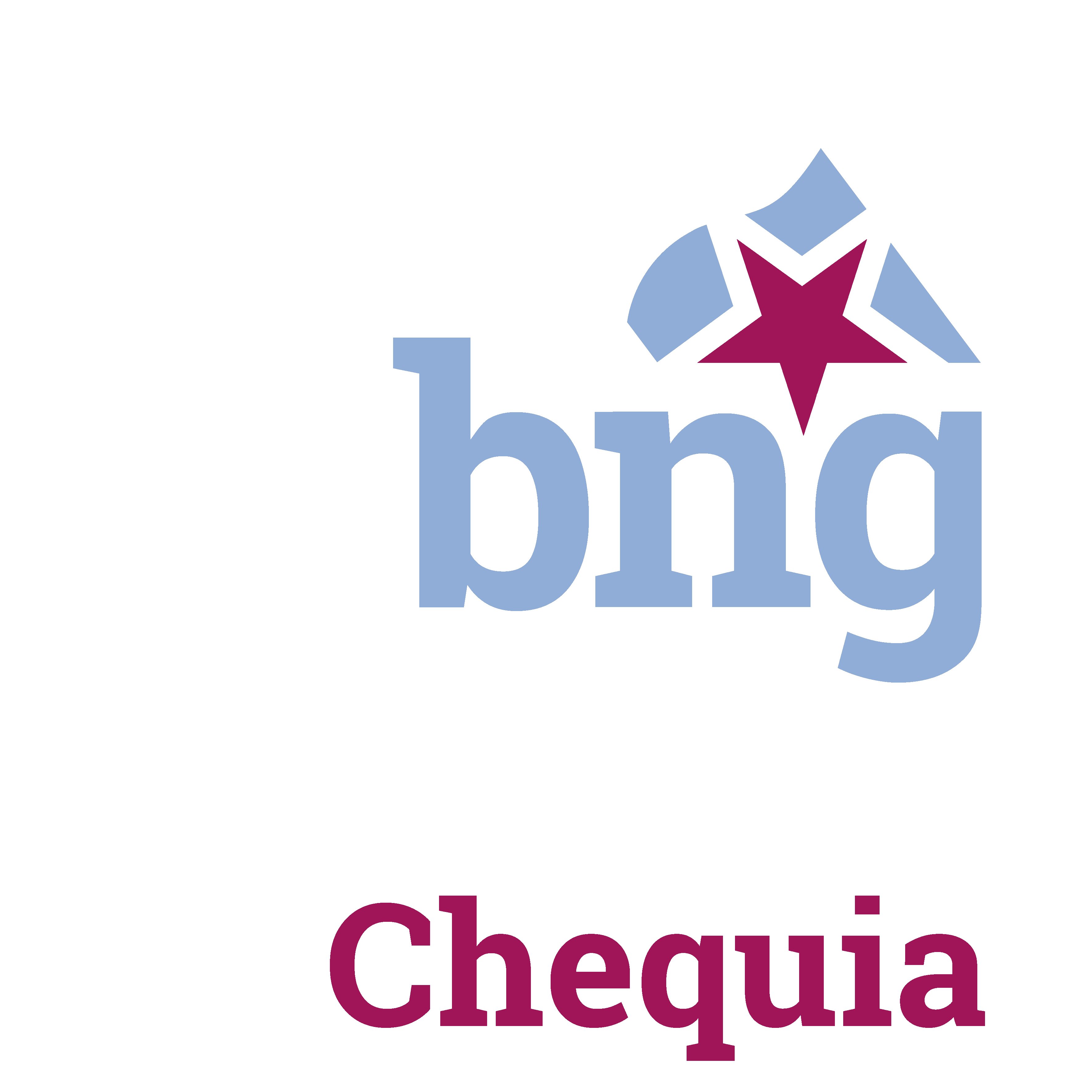 bng (889)