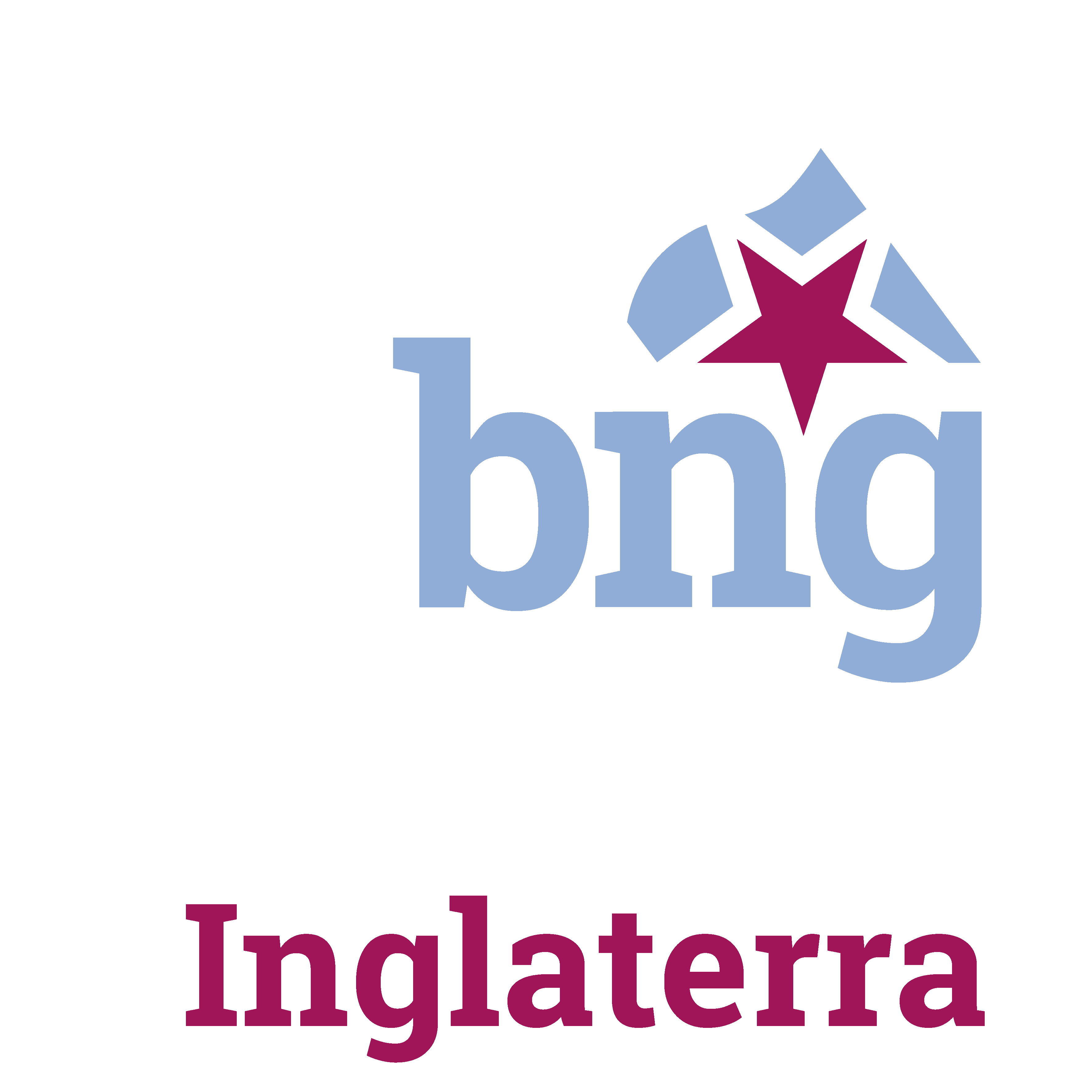 bng (919)