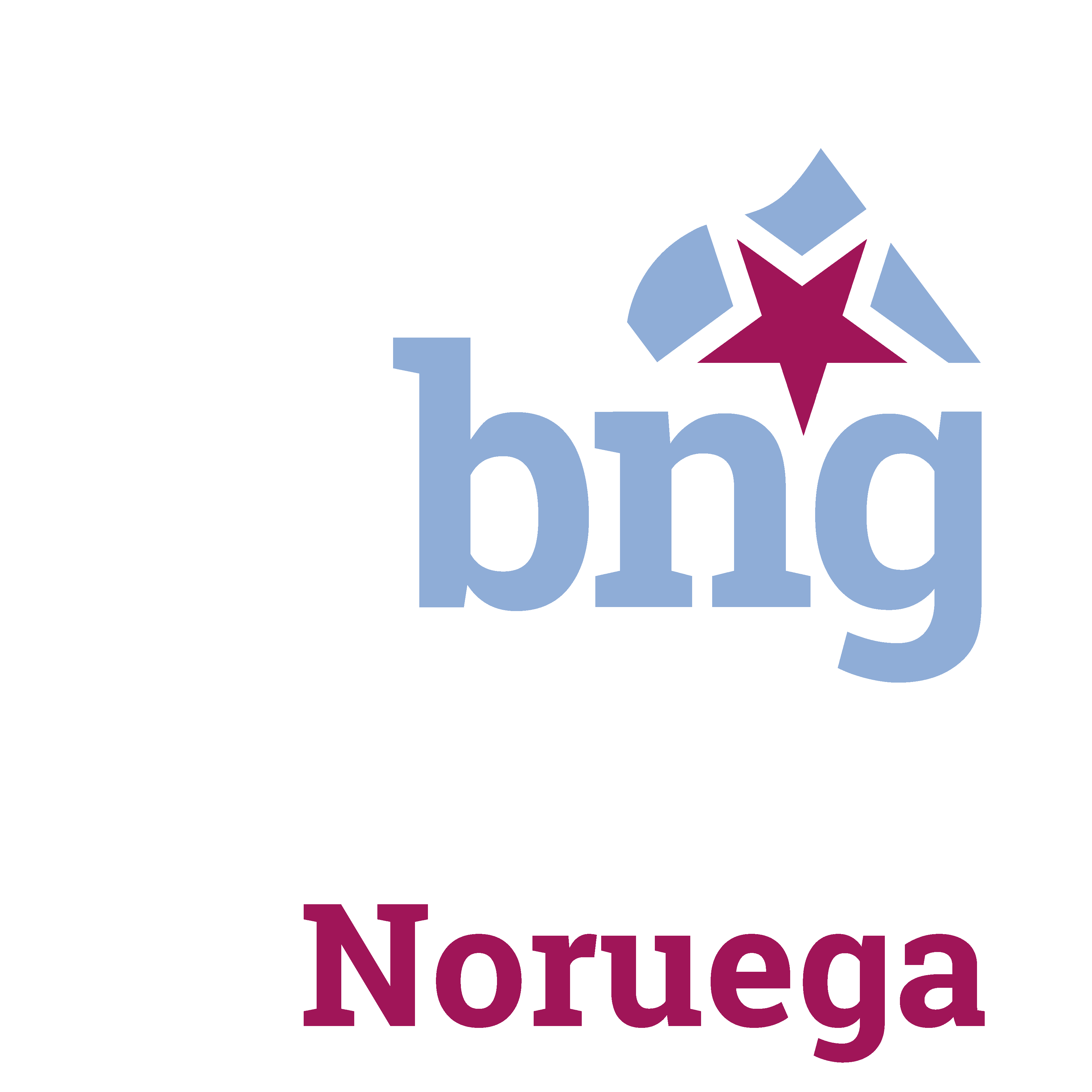 bng (931)